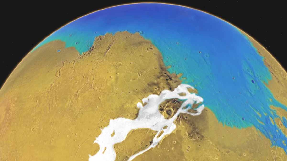 Shoreline Topography Of Mars
