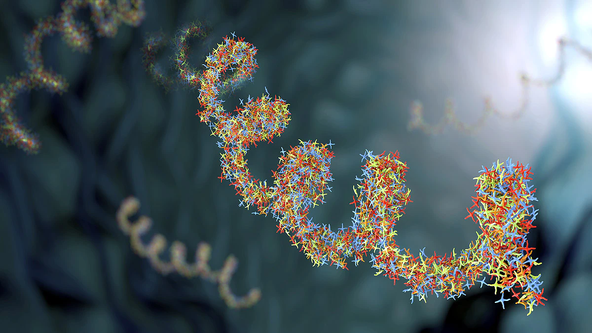 Ancient Virus in Human Body